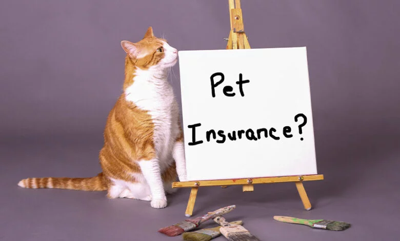 بیمه حیوانات خانگی