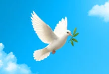 خرید بیمه جنگ در ازکی