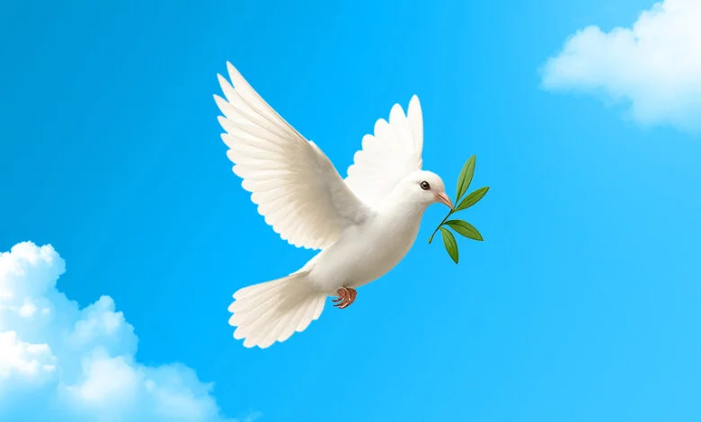 خرید بیمه جنگ در ازکی